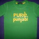 Pure Punjabi Kids T-Shirt (Green)